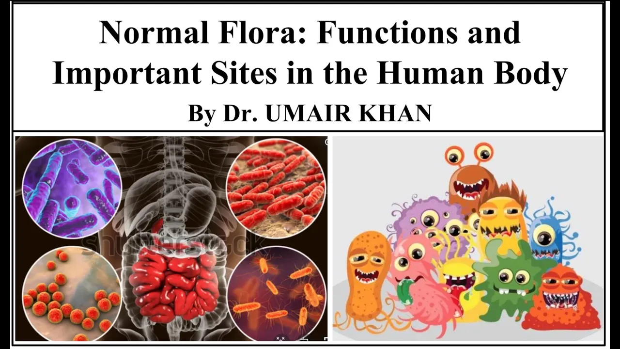 Normal Flora by Dr. Umair Khan I Functions and Important Sites of Normal Flora in the Human Body