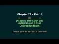HIT220 221 Coding Handbook Ch 22 Part 1 - Diseases of the Skin Subcutaneous Tissue Updated 2017