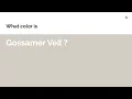 Gossamer Veil color hex color - Grey color