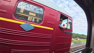                     دندنها