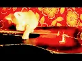 Download Lagu Hewan ternak./Anak kucing pengen Belajar main Gitar.#cats #animals #funnyvideo #funnycats