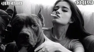 صمخه معزوفه دبكة نار   موسيقى مشهورة        استكانه ريمكس طربية   مطلوب أكثر شيء           اكسبلور دندنها