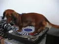 Cairo FM (Extended Mix) - Alewya (sped up + reverb) 