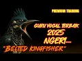 Download Lagu Belted Kingfisher: Guru Vokal Terbaik 2025 Masteran Burung Premium Bernilai Tinggi #masteranburung