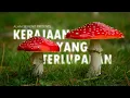 Download Lagu Multi Fungsi Fungi #AlamSemenit