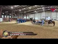 Watson Team Roping - 7 5 Ariat WSTR Qualifier
