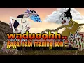 Download Lagu njomblo maneh, lesmono bola bali ora sido rabi. eps terakir gareng mantu.
