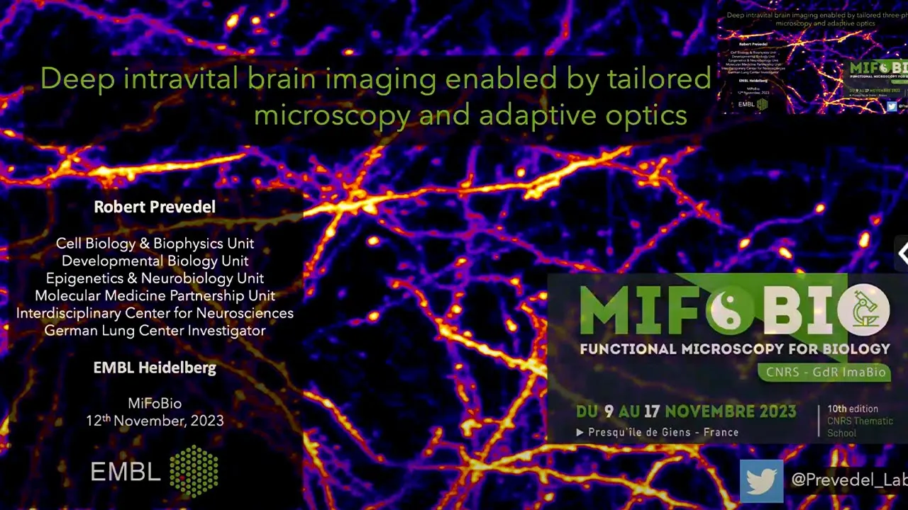 Mifobio 2023 - Robert PREVEDEL - Deep intravital brain imaging enabled by tailored three-photon ...
