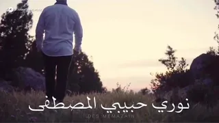 على نهجك مشيت ماهر زين 