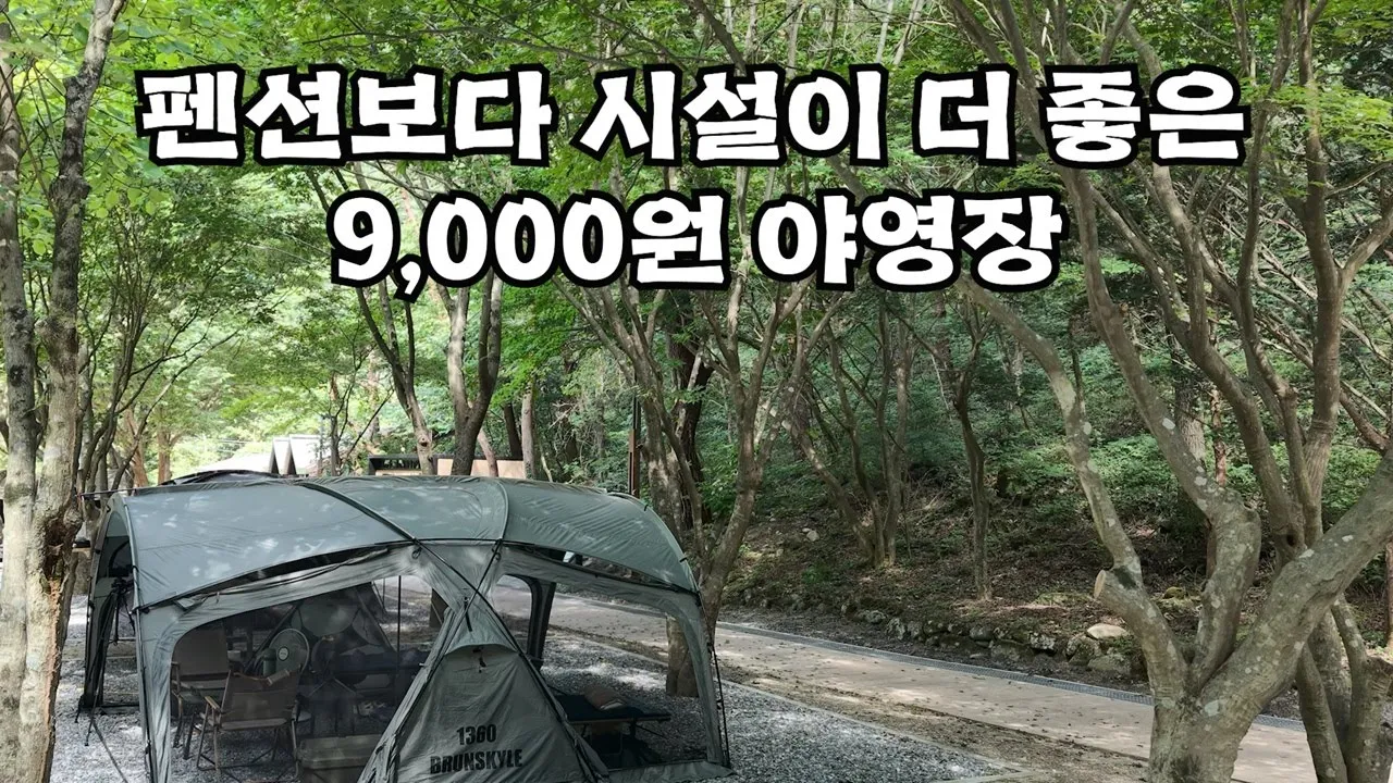 리모델링 가성비 최고🏕️소백산 남천야영장 빡세게 살펴보기 썸네일