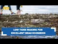 Low tides making for good beachcombing