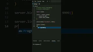 Python Sockets in Under a Minute