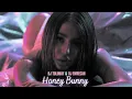 Download Lagu DJ Tolunay \u0026 DJ Emrecan ( Club  Remix) Honey Bunny !!