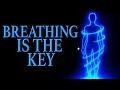 The Observer Breath How to Change Your Reality from Within