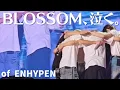 Download Lagu 【号泣注意】BLOSSOM of ENHYPEN【FMV】