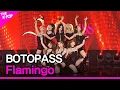 Download Lagu BOTOPASS, Flamingo (보토패스, 플라밍고) [THE SHOW 200915]