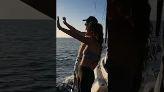 Travelling to Turks&Caicos BY BOAT! ⛵️ #shorts #sailing #travel