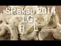 SP.AKAU 2014 R LG L