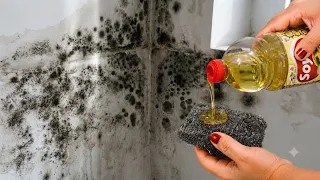 Na CASA DE RICO Parede é SEM TINTA E SEM LAVAR (Pedreiro só faz isso) ADEUS MOFO!