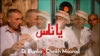 Dj Blonka Cheikh Mourad Ya Ness 2024 ديجي بلونكا و شيخ مراد ياناس 