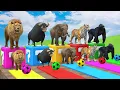 Download Lagu Long Slide Game With Cow Elephant Gorilla Hippopotamus Tiger 3d Animal Game Funny 3d Animals
