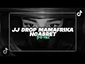 Download Lagu JJ DROP MAMAFRIKA NGABRET -TIRA RMX