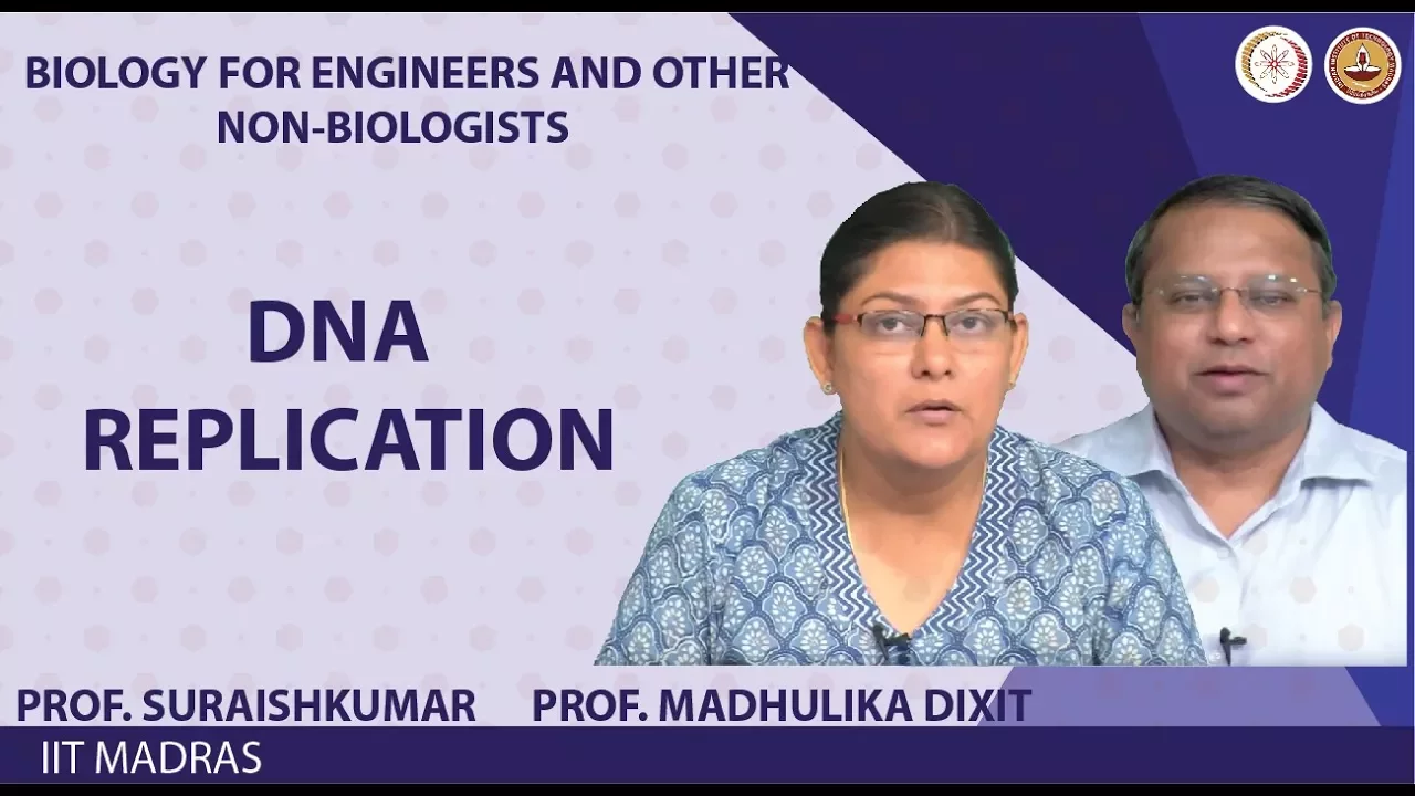 DNA replication
