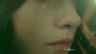 يلمفتهمني غلط    حالات وتساب دندنها