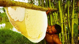 Gold Hands! Brave Man Harvests Honey Worth Millions Without Protection!