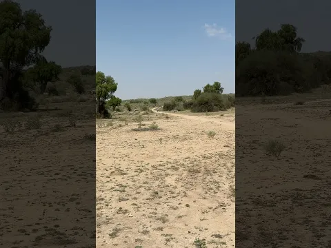 #bike