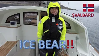 POLAR BEAR | Wild Arctic Anchorage | Bushpoint Sailing | Ep 52