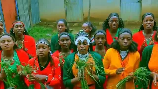 Ayyaana Qaammee Bara 2017 Baga Geessan 