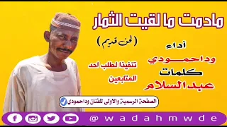 ود احمودي مادمت مالقيت الثمـــــار 