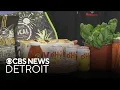 Busch s Fresh Food Market celebrates 50 years