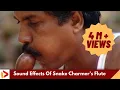 Lagu Sound Effects Of Snake Charmer's Flute | Music of Makudi | Snake Music