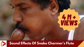 Sound Effects Of Snake Charmer S Flute Music Of Makudi Snake Music 