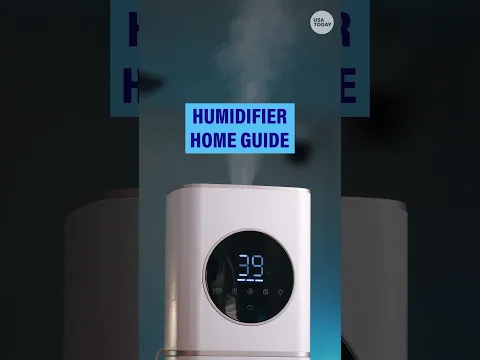 Here's what you should know about using a humidifier in your home