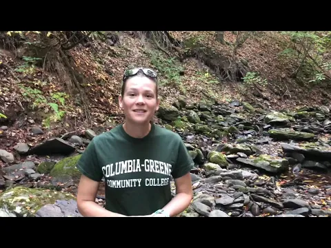 Stream Sampling