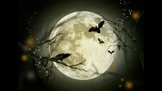 منوعات اغاني اجنبية حماسية ترنس دي جي تفجير سماعات 