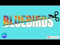 Canva Typography Tricks - Diagonal Sliced Text Step by Step Canva Tutorial for Beginners