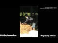 Download Lagu Status WA ( pamet kerjo ) NDXAKA