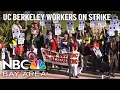 UC Berkeley Workers Strike Brings Grading Classes Research to a Halt
