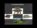 Dinosaurs-Classification