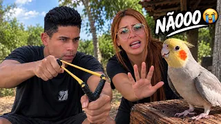 O CAÇADOR MAL QUER PEGAR O PASSARINHO 😰