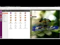 Linux Kernel - KGDB tutorial