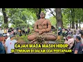 Viral !! Gajah Mada Masih Hidup Ternyata Selama ini Bertapa Didalam Goa