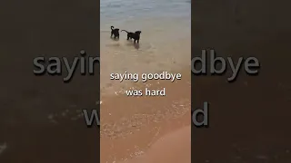 cutest tour guides ever