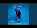 Download Lagu SHAWTII.