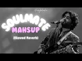 Lagu Soulmate Mashup 2024 (Slowed Reverb) Arijit Singh | Latest Bollywood Mashup | Harrykahanhai