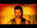 Ricky Martin - Fiebre (Audio)